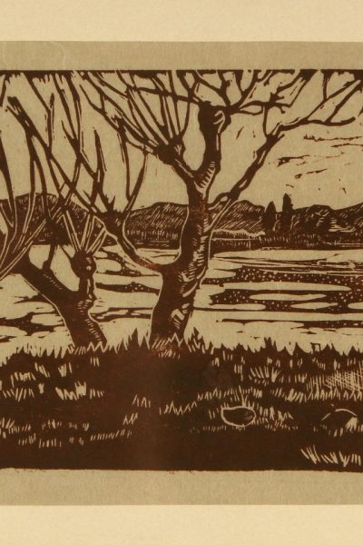 ALBERI MARECCHIA