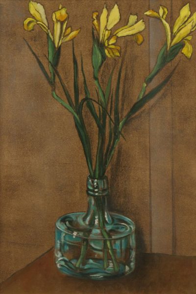 IRIS